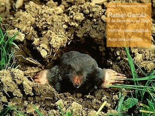 Texto e Fotografia recolhidos
por:
Rafael Garcêz
8 de Dezembro de 2009
Internet: www.google.pt
Autor desconhecido
 