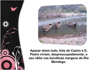 Apesar disso tudo, Inês de Castro e D. Pedro viviam, despreocupadamente, o seu idílio nas bucólicas margens do Rio Mondego.