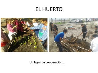 EL HUERTO
Un lugar de cooperación…
 