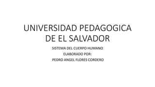 UNIVERSIDAD PEDAGOGICA
DE EL SALVADOR
SISTEMA DEL CUERPO HUMANO
ELABORADO POR:
PEDRO ANGEL FLORES CORDERO
 