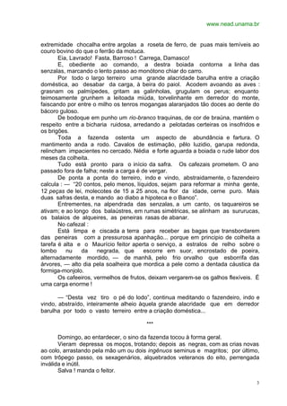 www.nead.unama.br


extremidade chocalha entre argolas a roseta de ferro, de puas mais temíveis ao
couro bovino do que o ferrão da motuca.
       Eia, Lavrado! Fasta, Barroso ! Carrega, Damasco!
       E, obediente ao comando, a destra boiada contorna a linha das
senzalas, marcando o lento passo ao monótono chiar do carro.
       Por todo o largo terreiro uma grande alacridade barulha entre a criação
doméstica, ao desabar da carga, à beira do paiol. Acodem avoando as aves :
grasnam os palmípedes, gritam as galinholas, grugulam os perus; enquanto
teimosamente grunhem a leitoada miúda, torvelinhante em derredor do monte,
faiscando por entre o milho os tenros mogangas alaranjados tão doces ao dente do
bácoro guloso.
       De bodoque em punho um rio-branco traquinas, de cor de braúna, mantém o
respeito entre a bicharia ruidosa, arredando a pelotadas certeiras os insofridos e
os brigões.
       Toda a fazenda ostenta um aspecto de abundância e fartura. O
mantimento anda a rodo. Cavalos de estimação, pêlo luzidio, garupa redonda,
relincham impacientes no cercado. Nédia e forte aguarda a boiada o rude labor dos
meses da colheita.
       Tudo está pronto para o início da safra. Os cafezais prometem. O ano
passado fora de falha; neste a carga é de vergar.
       De ponta a ponta do terreiro, indo e vindo, abstraidamente, o fazendeiro
calcula : — “20 contos, pelo menos, líquidos, sejam para reformar a minha gente,
12 peças de lei, molecotes de 15 a 25 anos, na flor da idade, cerne puro. Mais
duas safras desta, e mando ao diabo a hipoteca e o Banco”.
       Entrementes, na alpendrada das senzalas, a um canto, os taquareiros se
ativam; e ao longo dos balaústres, em rumas simétricas, se alinham as sururucas,
os balaios de alqueires, as peneiras rasas de abanar.
       No cafezal :
       Está limpa e ciscada a terra para receber as bagas que transbordarem
das peneiras com a pressurosa apanhação... porque em principio de colheita a
tarefa é alta e o Maurício feitor aperta o serviço, a estralos de relho sobre o
lombo     nu    da    negrada, que      escorre em suor, encrostado de poeira,
alternadamente mordido, — de manhã, pelo frio orvalho que esborrifa das
árvores, — alto dia pela soalheira que mordica a pele como a dentada cáustica da
formiga-monjolo.
       Os cafeeiros, vermelhos de frutos, deixam vergarem-se os galhos flexíveis. É
uma carga enorme !

       — “Desta vez tiro o pé do lodo”, continua meditando o fazendeiro, indo e
vindo, abstraído, inteiramente alheio àquela grande alacridade que em derredor
barulha por todo o vasto terreiro entre a criação doméstica...

                                        ***

       Domingo, ao entardecer, o sino da fazenda tocou à forma geral.
       Vieram depressa os moços, trotando; depois as negras, com as crias novas
ao colo, arrastando pela mão um ou dois ingênuos seminus e magritos; por último,
com trôpego passo, os sexagenários, alquebrados veteranos do eito, perrengada
inválida e inútil.
       Salva ! manda o feitor.

                                                                                 3
 