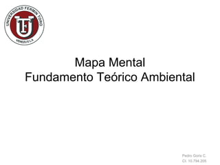 Mapa Mental
Fundamento Teórico Ambiental




                         Pedro Goris C.
                         CI. 10.794.205
 