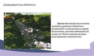 ZONEAMENTO DA PROPOSTA 
