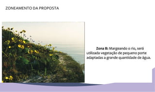 ZONEAMENTO DA PROPOSTA 