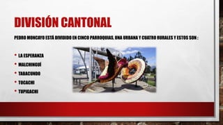 DIVISIÓN CANTONAL
PEDRO MONCAYO ESTÁ DIVIDIDO EN CINCO PARROQUIAS, UNA URBANA Y CUATRO RURALES Y ESTOS SON :
• LA ESPERANZA
• MALCHINGUÍ
• TABACUNDO
• TOCACHI
• TUPIGACHI
 