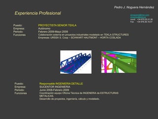 Pedro J. Noguera HernándezExperiencia Profesionalpjnoguera@msn.comproyectos@tekla.esmovil:   +34 670.25.31.36Fax:     +34 976.36.18.57Puesto:Empresa:Periodo:Funciones:PROYECTISTA SENIOR TEKLAAutónomoFebrero 2009-Mayo 2009Colaboración externa en proyectos industriales modelado en TEKLA STRUCTURESEmpresas: URSSA S. Coop – SCHWART HAUTMONT – HORTA COSLADAPuesto:Empresa:Periodo:Funciones:Responsable INGENIERIA DETALLESUCENTOR INGENIERIAJunio 2008-Febrero 2009Coordinación equipo Oficina Técnica de INGENERIA de ESTRUCTURAS METALICAS.Desarrollo de proyectos, ingeníería, cálculo y modelado.