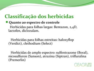 Classificação dos herbicidas
Quanto ao espectro de controle
Herbicidas para folhas largas: Bentazon, 2,4D,
lactofen, diclozulam.
Herbicidas para folhas estreitas: haloxyflop
(Verdict), clethodium (Select)
Herbicidas de amplo espectro: sulfentrazone (Boral),
nicosulfuron (Sanson), atrazina (Siptran), trifluralina
(Premerlin)
 