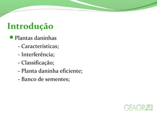 Plantas daninhas
- Características;
- Interferência;
- Classificação;
- Planta daninha eficiente;
- Banco de sementes;
Introdução
 