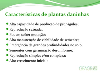 Características de plantas daninhas
Alta capacidade de produção de propágulos;
Reprodução sexuada;
Podem sofrer mutação;
Alta manutenção de viabilidade de semente;
Emergência de grandes profundidades no solo;
Sementes com germinação desuniforme;
Reprodução simples e/ou complexa;
Alto crescimento inicial;
 
