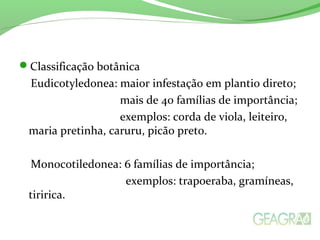 Classificação botânica
Eudicotyledonea: maior infestação em plantio direto;
mais de 40 famílias de importância;
exemplos: corda de viola, leiteiro,
maria pretinha, caruru, picão preto.
Monocotiledonea: 6 famílias de importância;
exemplos: trapoeraba, gramíneas,
tiririca.
 