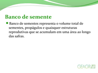Banco de semente
Banco de sementes representa o volume total de
sementes, propágulos e quaisquer estruturas
reprodutivas que se acumulam em uma área ao longo
das safras.
 