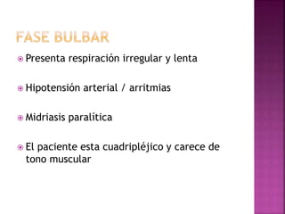  Presenta respiración irregular y lenta
 Hipotensión arterial / arritmias
 Midriasis paralítica
 El paciente esta cuadripléjico y carece de
tono muscular
 