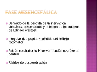 Derivado de la pérdida de la inervación
simpática descendente y la lesión de los nucleos
de Edinger westpal.
 Irregularidad pupilar/ pérdida del reflejo
fotomotor
 Patrón respiratorio: Hiperventilación neurógena
central
 Rigidez de descerebración
 