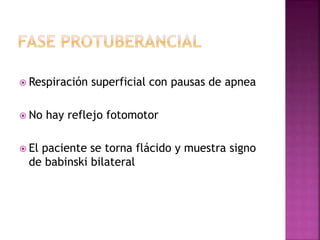  Respiración superficial con pausas de apnea
 No hay reflejo fotomotor
 El paciente se torna flácido y muestra signo
de babinski bilateral
 