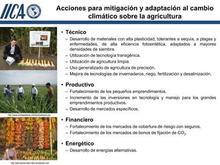 Acciones para mitigación y adaptación al cambio
                                                           climático sobre la agricultura

                                                   • Técnico
                                                    – Desarrollo de materiales con alta plasticidad, tolerantes a sequía, a plagas y
                                                      enfermedades, de alta eficiencia fotosintética, adaptados a mayores
                                                      densidades de siembra.
                                                    – Utilización de tecnología transgénica.
                                                    – Utilización de agricultura limpia.
                                                    – Uso generalizado de agricultura de precisión.
                                                    – Mejora de tecnologías de invernaderos, riego, fertilización y desalinización.

                                                   • Productivo
                                                    – Fortalecimiento de los pequeños emprendimientos.
                                                    – Incremento de las inversiones en tecnología y manejo para los grandes
                                                      emprendimientos productivos.
                                                    – Desarrollo de mercados específicos.
http://www.enlineadirecta.info/fotos/campo2.jpg

                                                   • Financiero
                                                    – Fortalecimiento de los mercados de cobertura de riesgo con seguros.
                                                    – Fortalecimiento de los mercados de bonos de fijación de CO2.

                                                   • Energético
                                                    – Desarrollo de energías alternativas.

   http://elproyectomatriz.files.wordpress.com
 