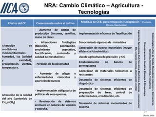 NRA: Cambio Climático – Agricultura -
                                             Tecnologías
    Efectos del CC          Consecuencias sobre el cultivo       Medidas de CT&I para mitigación y adaptación – Precisión,
                                                                                     Eficacia, Oportunidad

                           - Aumento de costos de




                                                                                                                  Ingenierías: Agronómica, Civil, Mecánica, Electrónica, Sistemas – mecanización,
                           producción (insumos, semillas,       Implementación eficiente de Tecnificación




                                                                                                                                                                                                                                                             Biotecnología: Cultivo de Tejidos, Marcadores moleculares, Biorreactores,
                           mano de obra)
                           -     Alteraciones    fisiológicas   Conocimiento riguroso de materiales




                                                                                                                                                                                                    Fitomejoramiento: Genética, Fisiología & Fitopatología
Alteración           de    (floración,          polinización,
                                                                Generación de nuevos materiales (mayor




                                                                                                                                   SIG, sensores remotos, observación satelital-
condiciones                crecimiento           vegetativo,




                                                                                                                                                                                                                                                                              Genómica, Bioinformática, Transgénesis
                                                                eficiencia fotosintética)
medioambientales:          fructificación,    contenido     y
humedad, luz (calidad      calidad de metabolitos)              Uso de agricultura de precisión y SIG
y             cantidad),
                                                                Establecimiento     de       bancos          de
precipitación, vientos,    - Pérdidas de biodiversidad
                                                                germoplasma
temperatura.
                                                                Generación de materiales tolerantes o
                           - Aumento de plagas             y    resistentes
                           enfermedades conocidas          y
                           aparición de nuevas                  Desarrollo de sistemas eficientes de
                                                                diagnóstico
                                                                Desarrollo de sistemas eficientes de
                           - Implementación obligatoria de
                                                                preparación de áreas, control de
Alteración de la calidad   políticas de cero quemas.
                                                                enfermedades, erradicación, etc.
del aire (contenido de
CH4 y CO2)                 - Revaluación de sistemas
                                                                Desarrollo de sistemas mecanizados de
                           animales en labores de siembra
                                                                cosecha
                           y cosecha.
                                                                                                                                                                                                              24
                                                                                                                                                                                                    (Rocha, 2009)
 