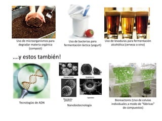 Uso de microorganismos para      Uso de bacterias para        Uso de levaduras para fermentación
  degradar materia orgánica    fermentación láctica (yogurt)       alcohólica (cerveza o vino)
          (compost)

….y estos también!




                                                                      Bioreactores (Uso de celulas
  Tecnologías de ADN                                               individuales a modo de “fábricas”
                                 Nanobiotecnología
                                                                            de compuestos)
 