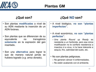 Plantas GM


           ¿Qué son?                              ¿Qué NO son?
• Son plantas modificadas a nivel de     • A nivel biológico, no son “plantas
  su ADN mediante la inserción de un       imperfectas”.
  ADN foráneo.
                                         • A nivel económico, no son “plantas
• Son plantas que se diferencian de su     perfectas”.
  equivalente     no       transgénico    – Una planta Round up Ready es
  solamente en la expresión del gen         resistente a un herbicida, pero esa única
  insertado.                                modificación no le confiere resistencia a
                                            insectos ni a virus, ni la hace tolerante a
                                            sequía, frío, salinidad del suelo, etc.
• Son una alternativa para lograr lo
  que de manera natural jamás se
  hubiera logrado (v.g. arroz dorado).   • No son plantas peligrosas.
                                          – No generan cáncer ni enfermedades.
                                          – No están acabando con el ambiente.

                                                                                 48
 