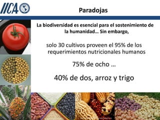 Paradojas

La biodiversidad es esencial para el sostenimiento de
             la humanidad… Sin embargo,

    solo 30 cultivos proveen el 95% de los
     requerimientos nutricionales humanos

                          75% de ocho …
             40% de dos, arroz y trigo



                                                                        5
   www.shutterstock.com     Keith Weller /http://www.sciencedaily.com
 