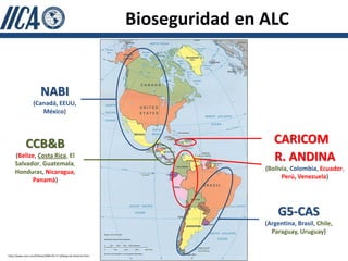 Bioseguridad en ALC


                        NABI
                   (Canadá, EEUU,
                      México)




             CCB&B                                                                  CARICOM
     (Belize, Costa Rica, El
     Salvador, Guatemala,
                                                                                    R. ANDINA
     Honduras, Nicaragua,                                                        (Bolivia, Colombia, Ecuador,
           Panamá)                                                                     Perú, Venezuela)




                                                                                      G5-CAS
                                                                                 (Argentina, Brasil, Chile,
                                                                                   Paraguay, Uruguay)


http://www.zonu.com/fullsize/2009-09-17-3/Mapa-de-America.html
 