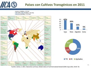 Países con Cultivos Transgénicos en 2011
     - América (140Mha = 87,5%)
     - CAN, MEX, USA (79,6Mha = 49,75%)
     - Cono Sur (60,4Mha = 37,75%)



                                                                           50    47%
                                                                           40              32%
                                                                           30
                                                                           20                        15%
                                                                           10                                  5%
                                                                            0
                                                                                  Soja     Maíz Algodón Colza




                                                                                      26%

                                                                                                      59%
                                                                                     15%



                                                                                    TH       RI     Apilados

                                                                                                                    55
Fuente: James, C. 2011. Executive summary. Global status of commercialized biotech/GM crops:2011. Brief 43.
 