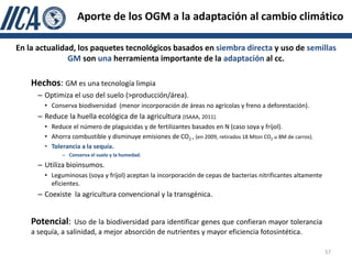 Aporte de los OGM a la adaptación al cambio climático

En la actualidad, los paquetes tecnológicos basados en siembra directa y uso de semillas
               GM son una herramienta importante de la adaptación al cc.

    Hechos: GM es una tecnología limpia
      – Optimiza el uso del suelo (>producción/área).
        • Conserva biodiversidad (menor incorporación de áreas no agrícolas y freno a deforestación).
      – Reduce la huella ecológica de la agricultura (ISAAA, 2011).
        • Reduce el número de plaguicidas y de fertilizantes basados en N (caso soya y fríjol).
        • Ahorra combustible y disminuye emisiones de CO2 , (en 2009, retirados 18 Mton CO2 u 8M de carros).
        • Tolerancia a la sequía.
              – Conserva el suelo y la humedad.
      – Utiliza bioinsumos.
        • Leguminosas (soya y fríjol) aceptan la incorporación de cepas de bacterias nitrificantes altamente
          eficientes.
      – Coexiste la agricultura convencional y la transgénica.


    Potencial:     Uso de la biodiversidad para identificar genes que confieran mayor tolerancia
    a sequía, a salinidad, a mejor absorción de nutrientes y mayor eficiencia fotosintética.

                                                                                                               57
 