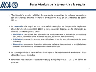 Bases técnicas de la tolerancia a la sequía


• “Resistencia” a sequía: Habilidad de una planta o un cultivo de elaborar su producto
  con una pérdida mínima (o incluso produciendo más) en un ambiente de déficit
  hídrico.

• La tolerancia a la sequía es una característica compleja en la que están implicados
  alrededor de 60 genes (ACB, 2007) y cuya expresión depende de la interacción de
  diversos caracteres (Mitra, 2001):
  – Morfológicos (precocidad, área foliar reducida, enrollamiento de la lámina foliar, contenido de
    cera, aristas, sistema de raíces, macollaje reducido, estabilidad de la producción)
  – Fisiológicos (transpiración reducida, alta eficiencia en el uso del agua, cierre estomatal y ajuste
    osmótico).
  – Bioquímicos: acumulación de prolina, poliaminas, trehalosa; incremento de la actividad nitrato
    reductasa e incremento de almacenamiento de carbohidratos).


• La complejidad de la característica hace que el fitomejoramiento tradicional haya
  obtenido avances limitados.

• Pérdida de hasta 60% de la cosecha de soja y maíz (campaña 2011-2012) en países del
  cono sur.

                                                                                                          58
 