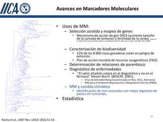 Avances en Marcadores Moleculares


                                           • Usos de MM:
                                              – Selección asistida y mapeo de genes
                                                  • Mecanismo de acción de gen DIO3 (aumenta tamaño
                                                    de la camada de lechones y fertilidad de la cerda) Coster et
                                                      al. (2012) The Imprinted Gene DIO3 Is a Candidate Gene for Litter Size in Pigs. PLoS ONE 7(2): e31825.



                                              – Caracterización de biodiversidad
                                                  • 21% de las 8.000 razas ganaderas están en peligro de
                                                    extinción.
                                                  • Plan de acción mundial de recursos zoogenéticos (FAO).
                                              – Determinación de relaciones de parentesco
                                              – Diagnóstico de enfermedades
                                                  •    “El valor añadido estará en el diagnóstico y no en el
                                                      fármaco” Steven Burril (BIOCAT, 2001).
                                                           – Virus de Schmallemberg (caracterizado en Nov. 2011, Alemania)
                                                           – MM para el Síndrome Reproductivo y Respiratorio Porcino (PRRS).
                                              – MM y cambio climático
                                                  • Identificación de mm asociados con mejor digestión de
                                                    pastos en rumiantes.
                                           • Estadística


                                                                                                                                                           66
Rocha et al., 2007 Rev. UDCA 19(2):51-63
 