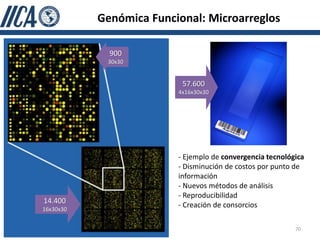 Genómica Funcional: Microarreglos

             900
            30x30


                          57.600
                         4x16x30x30




                         - Ejemplo de convergencia tecnológica
                         - Disminución de costos por punto de
                         información
                         - Nuevos métodos de análisis
                         - Reproducibilidad
14.400
16x30x30
                         - Creación de consorcios

                                                           70
 