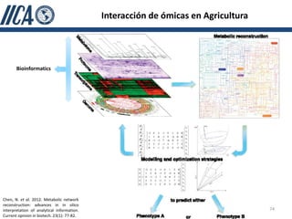 Interacción de ómicas en Agricultura




       Bioinformatics




Chen, N. et al. 2012. Metabolic network
reconstruction: advances in in silico
interpretation of analytical information.                                          74
Current opinion in biotech. 23(1): 77-82.
 