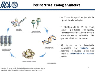 Perspectivas: Biología Sintética


                                                                       • La BS es la aproximación de la
                                                                         ingeniería a la biología.

                                                                       • El objetivo de la BS es crear
                                                                         nuevos productos (biológicas,
                                                                         aparatos y sistemas) que no están
                                                                         presentes en la naturaleza, más
                                                                         que modificar uno existente.

                                                                       • BS incluye a la Ingeniería
                                                                         metabólica que rediseña los
                                                                         sistemas biológicos existentes
                                                                         hasta la construcción de nuevas
                                                                         partes.



Facchini, PJ et al. 2012. Synthetic biosystems for the production of                                76
high value plant metabolites. Trends in Biotech. 30(3): 127-131.
 