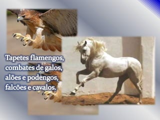 Tapetes flamengos,combates de galos,alões e podengos,falcões e cavalos.