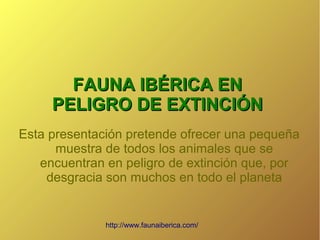 FAUNA IBÉRICA EN
PELIGRO DE EXTINCIÓN
Esta presentación pretende ofrecer una pequeña
muestra de todos los animales que se
encuentran en peligro de extinción que, por
desgracia son muchos en todo el planeta

http://www.faunaiberica.com/

 