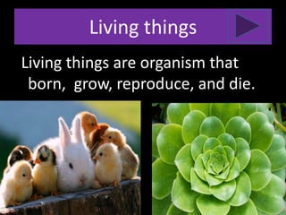 Living things
lLiving things are organism that
born, grow, reproduce, and die.
 