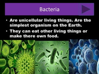 Bacteria
• Are unicellular living things. Are the
simplest organism on the Earth.
• They can eat other living things or
make there own food.
 