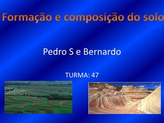 Pedro S e Bernardo
TURMA: 47
 