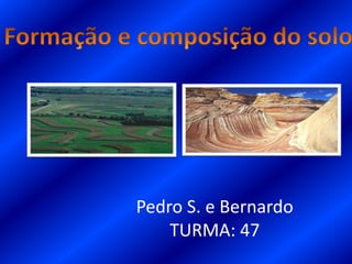 Pedro S. e Bernardo
TURMA: 47
 