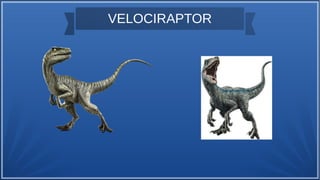 VELOCIRAPTOR
 