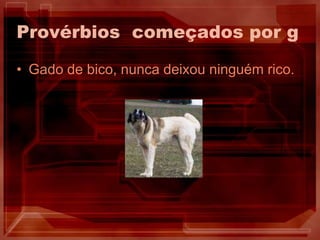 Provérbios começados por gGado de bico, nunca deixou ninguém rico.