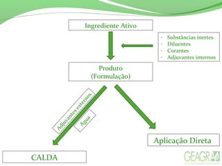 Ingrediente Ativo
- Substâncias inertes
- Diluentes
- Corantes
- Adjuvantes internos
Produto
(Formulação)
CALDA
Água
Adjuvantesexternos
Aplicação Direta
 