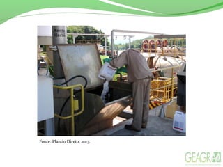 Fonte: Plantio Direto, 2017.
 