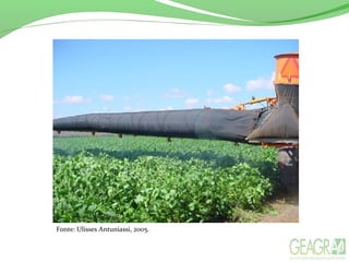 Fonte: Ulisses Antuniassi, 2005.
 