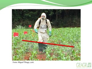 Fonte: Miguel Thiago, 2016.
 