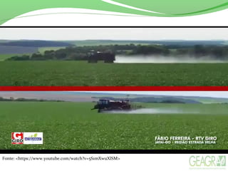 Fonte: <https://www.youtube.com/watch?v=5S1mXwuXlSM>
 