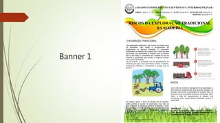 Banner 1
I DIA DO CONHECIMENTO CIENTÍFICO E INTERDISCIPLINAR
ABREU, Jeane C. C. de¹; VIEIRA, Karolayne A¹; ALVES, Laíza de S¹; ASTENRETER, Maysa K. S¹
RIBEIRO, Jhennifer P N²
RISCOS DA EXPLORAÇÃO TRADICIONAL
DA MADEIRA
Na exploração tradicional, que ocorre há muitos anos
na Amazônia, não existe o envolvimento de
engenheiros ou técnicos florestais. O comprador
interessado na madeira faz contato com o dono da área
de floresta, que geralmente é morador local e conhece
bem a sua mata. O comprador faz o pedido do tipo da
madeira e quantidade que precisa, e negocia o preço
com o dono da floresta.
Se for preciso, o comprador faz um adiantamento do
dinheiro para que o dono da floresta comece o trabalho,
comprando materiais e contratando a equipe que irá
ajudá-lo.
Em alguns casos, o dono da floresta não é serrador,
então contrata a equipe de exploração, mas não vai
para a floresta. Explorada a madeira na floresta, o dono
do manejo leva o material até a cidade e o apresenta ao
comprador, que avalia as dimensões, qualidade,
“brancal”, etc.
Como não há controle e planejamento da exploração, a
derrubada da madeira pode fazer grandes estragos na
floresta, diminuindo a quantidade de madeira para os
próximos anos e causando prejuízos a natureza. Além
disso, a falta de equipamentos e preparo dos
serradores pode causar graves acidentes durante a
exploração.
Referencias
KOURY, Carlos Gabriel; VIANNA, André Luiz Menezes.
Guia prático do Manejo Florestal Sustentável em
Pequena Escala. Manaus: IDESAM, 2014.
1. Alunos da Escola Estadual Jovem Gonçalves Vilela
EXPLORAÇÃO TRADICIONAL
RISCOS
 