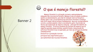 Banner 2
O que é manejo florestal?
Manejo florestal é a utilização racional e ambientalmente
adequada dos recursos da floresta. Manejo é uma atividade econômica
oposta ao desmatamento, pois não há remoção total da floresta e
mesmo após o uso o local manterá sua estrutura florestal. O manejo
bem feito segue três princípios fundamentais: deve ser ecologicamente
correto, economicamente viável e socialmente justo. O princípio da
técnica de exploração de impacto reduzido - principal ferramenta do
manejo florestal - é extrair produtos da floresta de maneira que os
impactos gerados sejam mínimos, possibilitando a manutenção da
estrutura florestal e sua recuperação, por meio do estoque de plantas
remanescentes.
Diversificar a produção é um dos
princípios mais importantes para o
uso sustentável dos recursos florestais.
 
