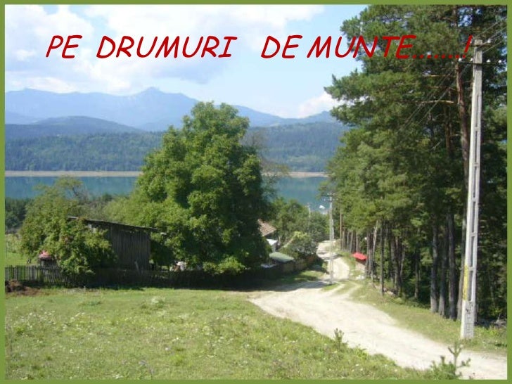 Pe Drumuri De Munte Rezumat