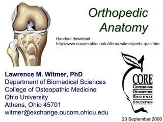 Orthopedic
                                 Anatomy
                Handout download:
                http://www.oucom.ohiou.edu/dbms-witmer/peds-rpac.htm




Lawrence M. Witmer, PhD
Department of Biomedical Sciences
College of Osteopathic Medicine
Ohio University
Athens, Ohio 45701
witmer@exchange.oucom.ohiou.edu
                                                 20 September 2000
 