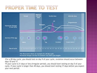 For a 28 day cycle, you should test on day 9 of your cycle, ovulation should occur between days 10 and 17. If your cycle is 21 days or less (irregular period), you should start testing on day 5 of your cycle. If your cycle is longer than 40 days, you should start testing 17 days before you expect your next period. 