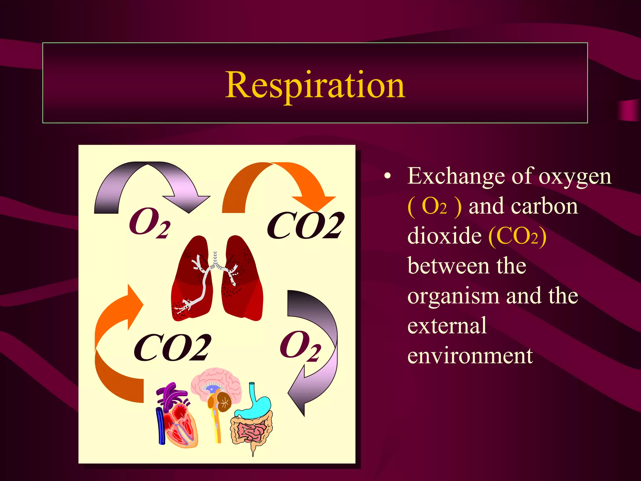 Respiration

               • Exchange of oxygen
                 ( O2 ) and carbon
O2      CO2      dioxide (CO2)
                 between the
                 organism and the
                 external
CO2      O2      environment
 